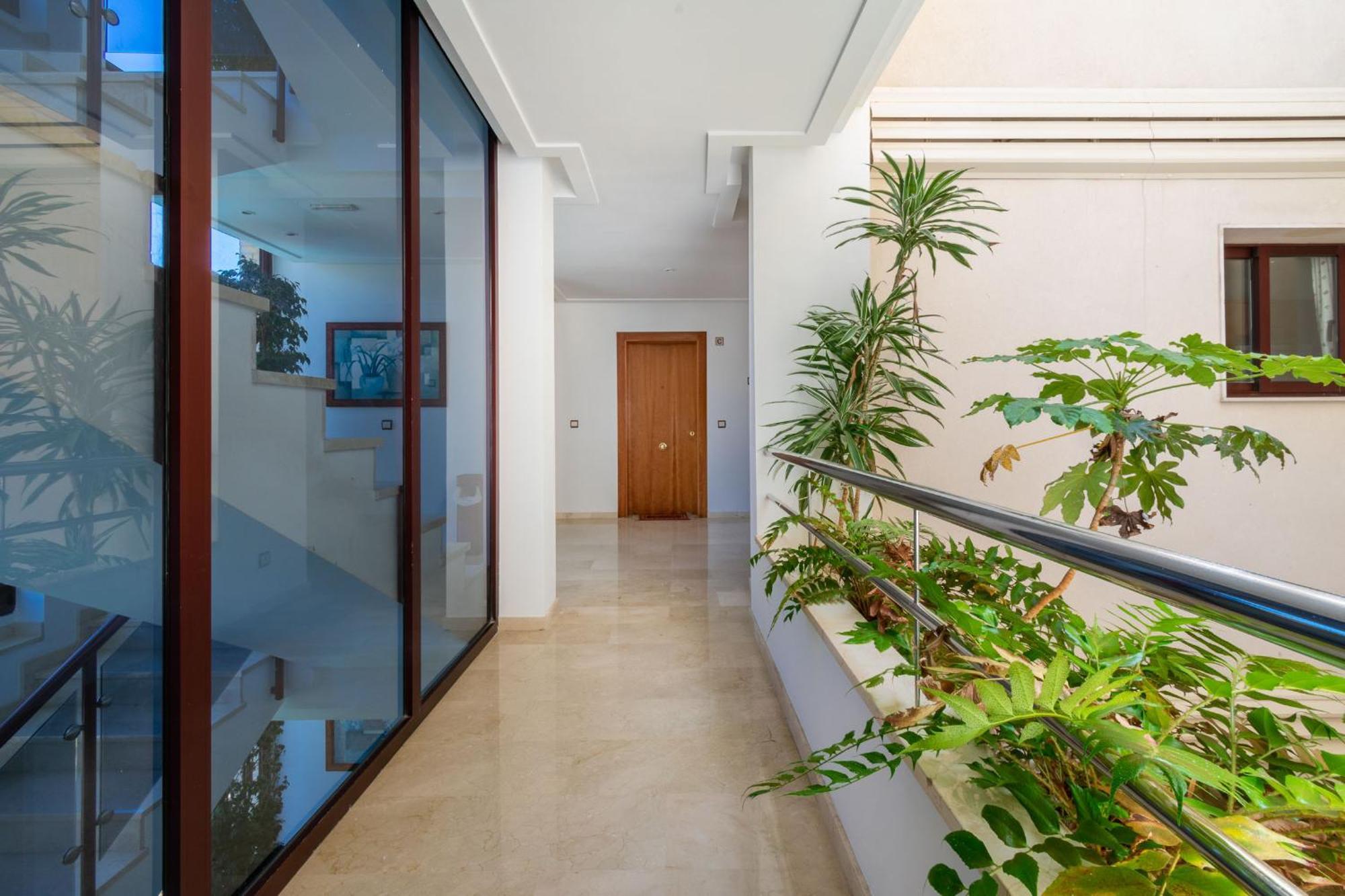 Apartamentos Albir Confort 1 Dormitorio El Albir Eksteriør billede